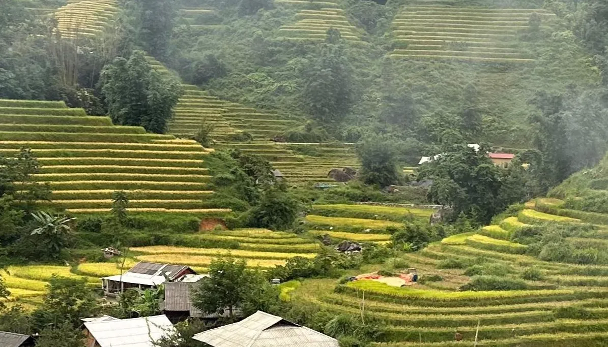  Il fascino del Vietnam con Sapa in 15 giorni e 14 notti.