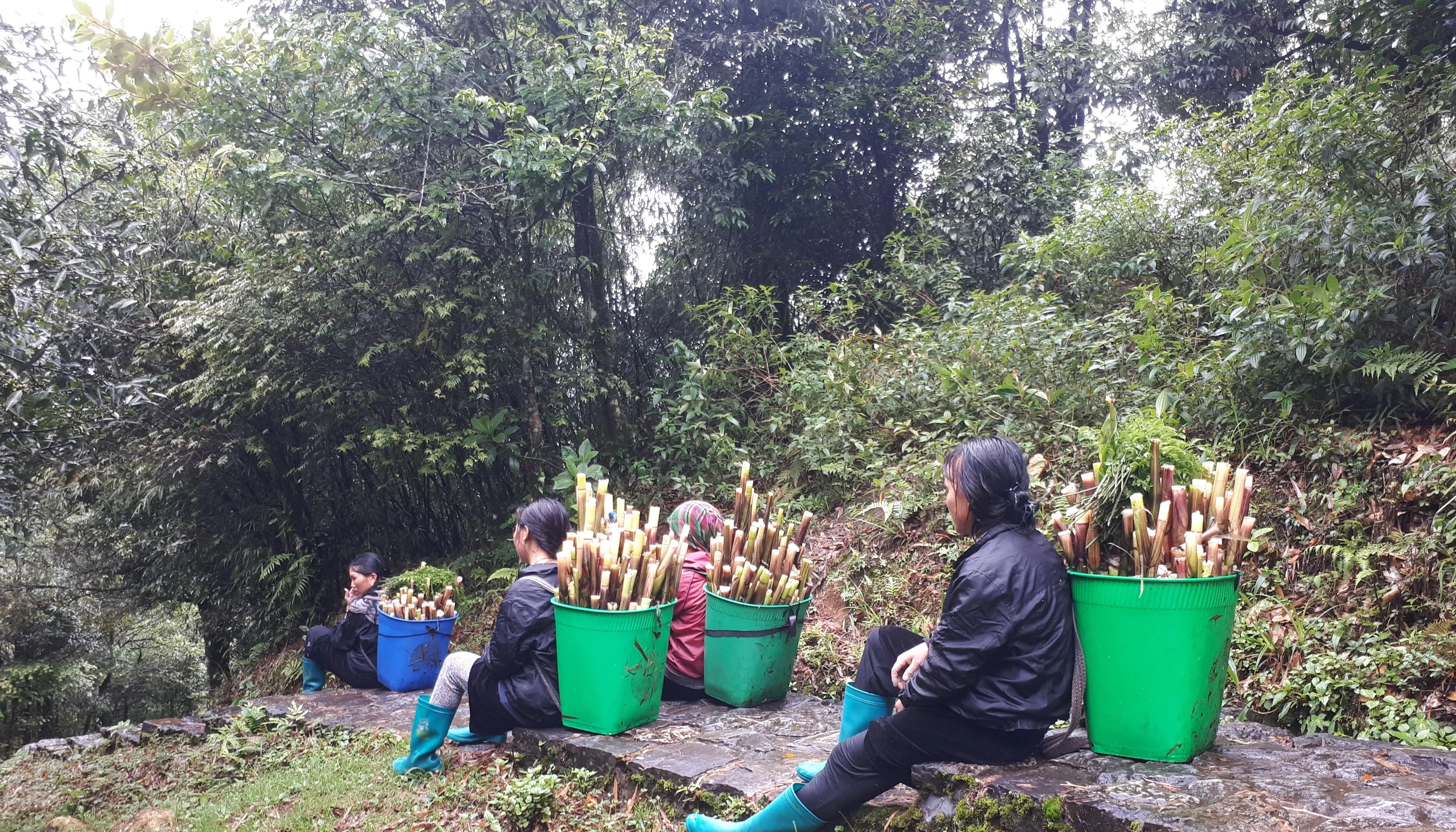 Vietnam settentrionale in 9 giorni e 8 notti