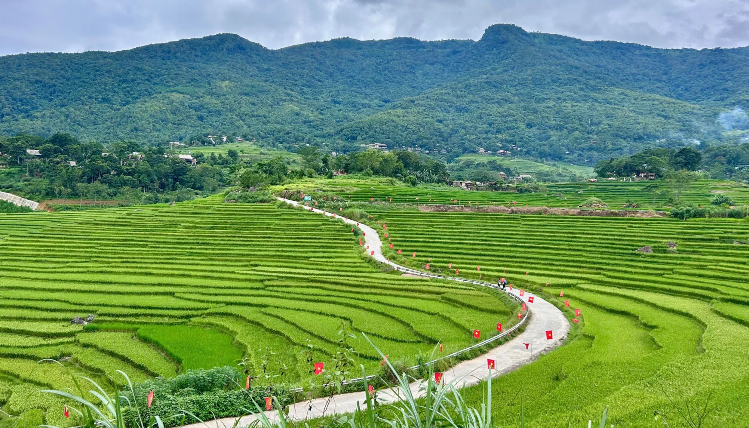 Immersione nella vita locale vietnamita in 15 giorni e 14 notti