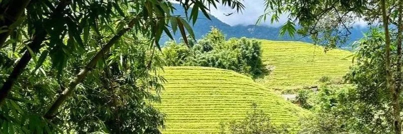 Image slider