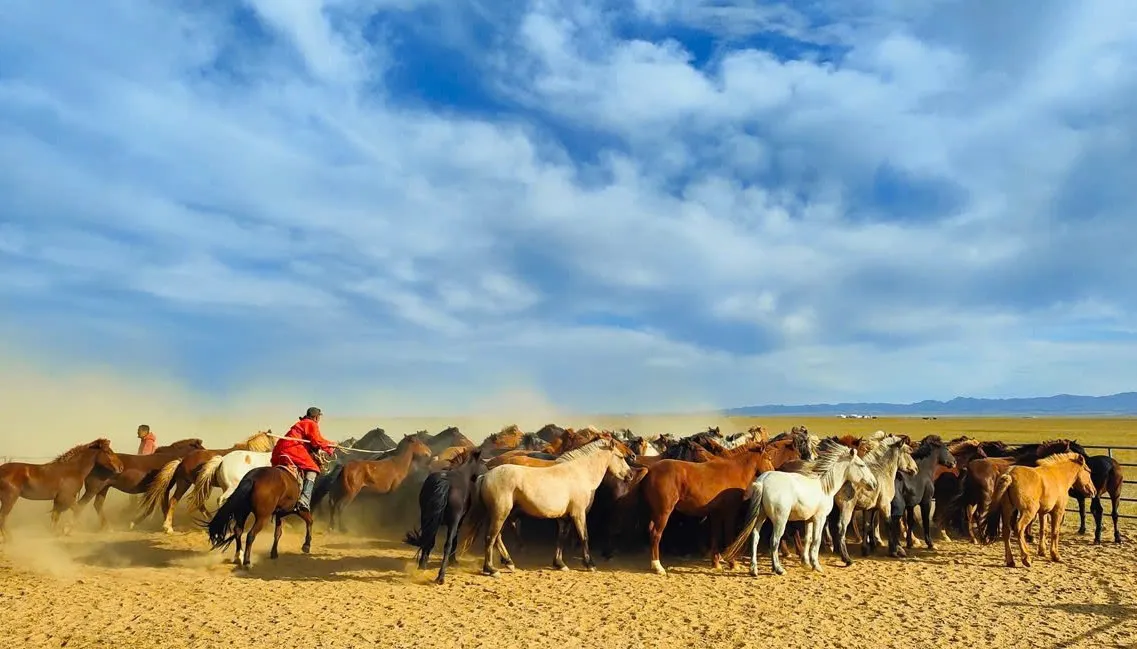 Viaje a Mongolia y Vietnam en 17 días y 16 noches