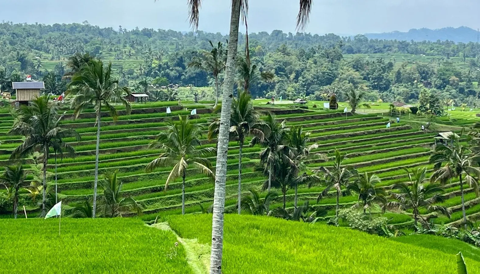 Encanto de Tailandia,Vietnam, Malasia y Singapur en 15 días y 14 noches