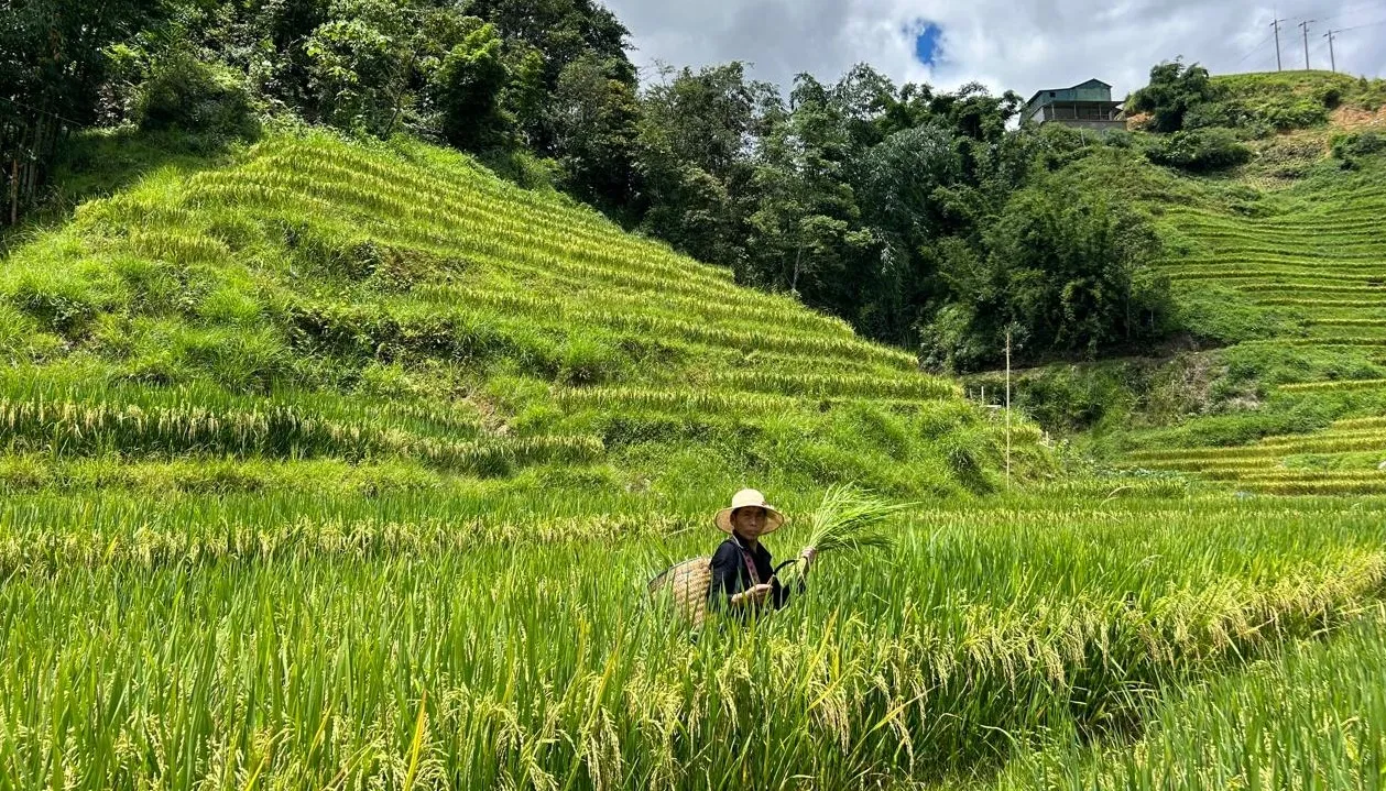 Encanto de Vietnam con Sapa en 15 días y 14 noches