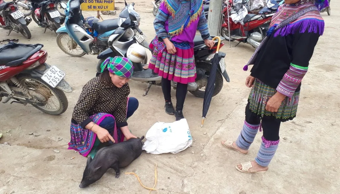 Incanto di Thailandia e Vietnam in 10 giorni e 9 notti