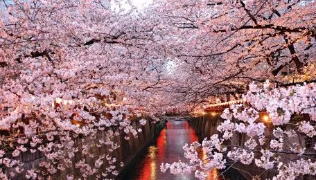 Viaje a Japón, Vietnam y Tailandia en 15 Días y 14 Noches