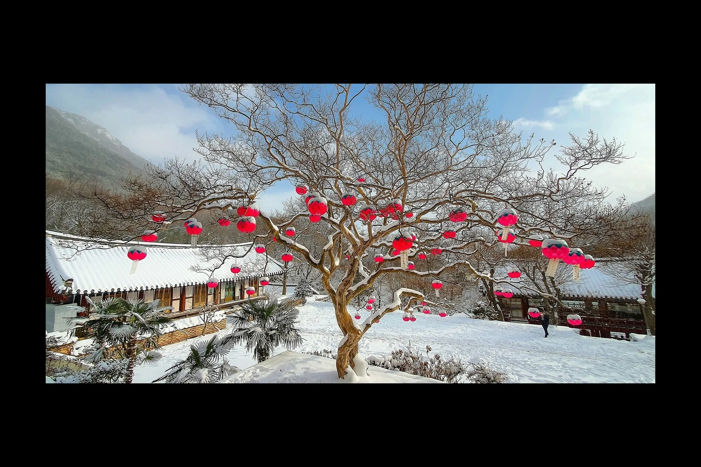 Destinazioni per “cacciare” la neve vicino al Vietnam