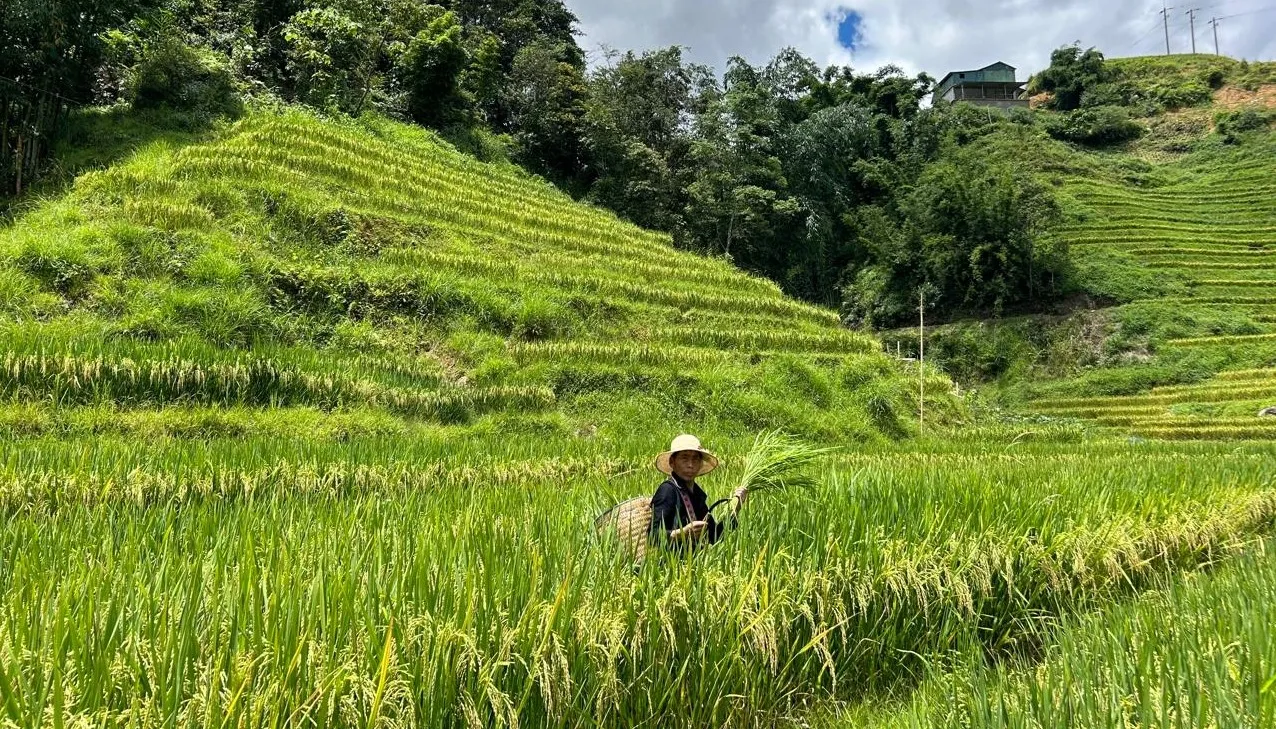 Encanto de Vietnam con Sapa en 10 días y 9 noches