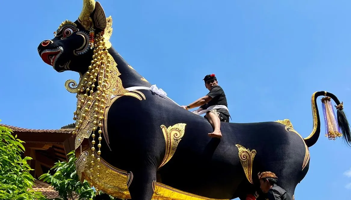 Viaggio indimenticabile a Bali in 5 giorni e 4 notti