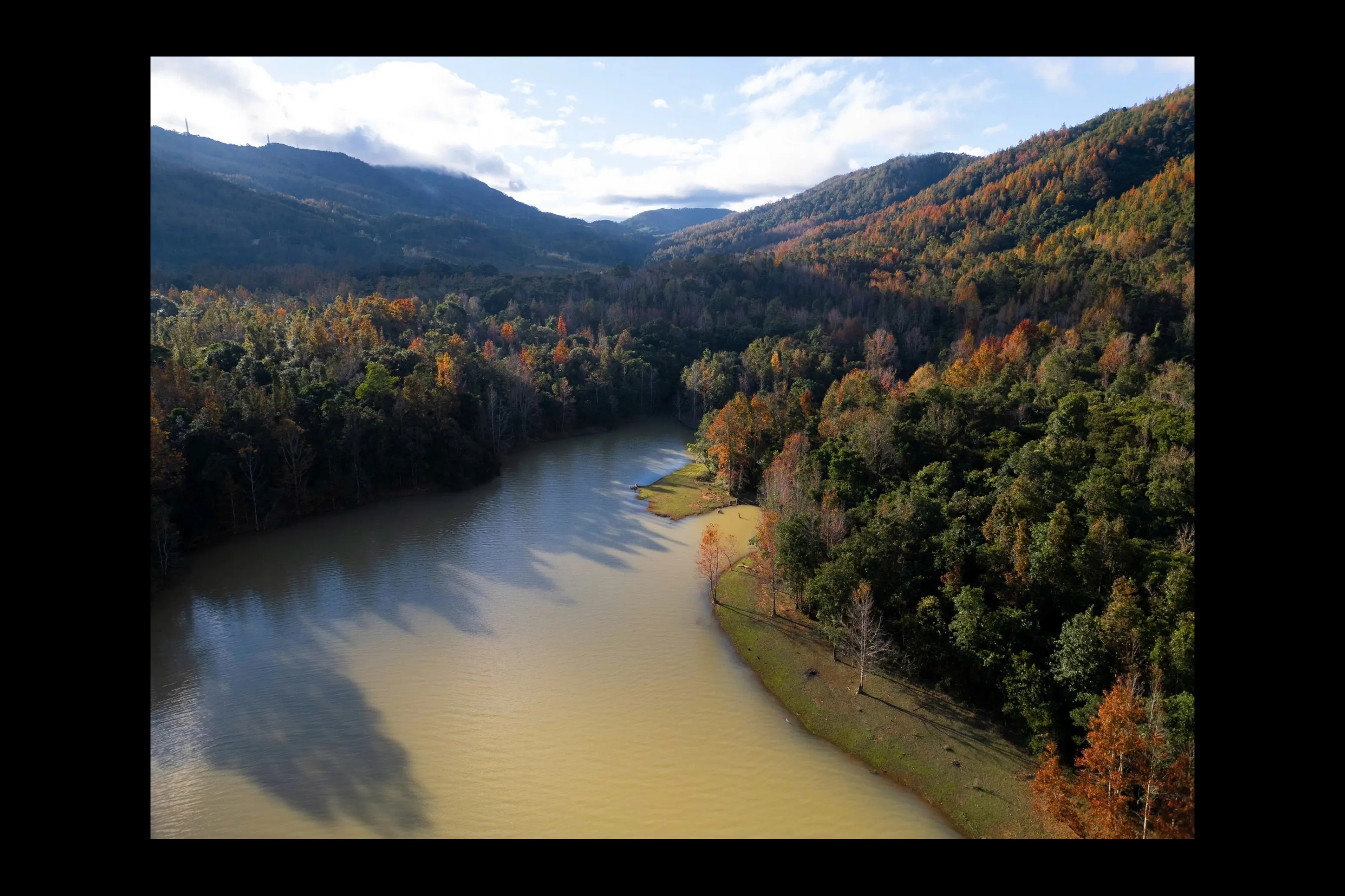 El bosque de arces de Khe Sanh cambia de color y atrae a los amantes del senderismo