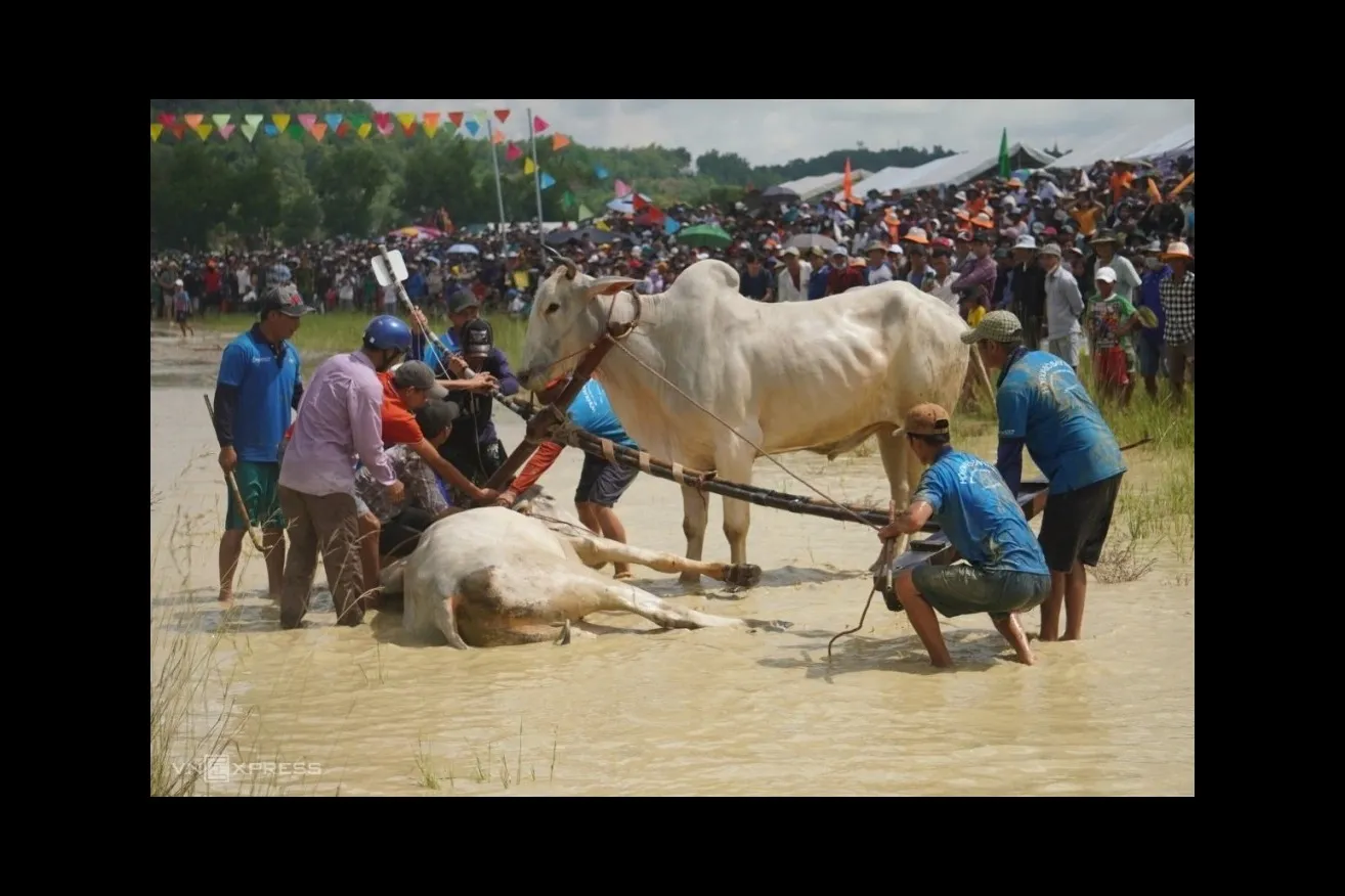 An Giang impulsa el desarrollo del turismo comunitario