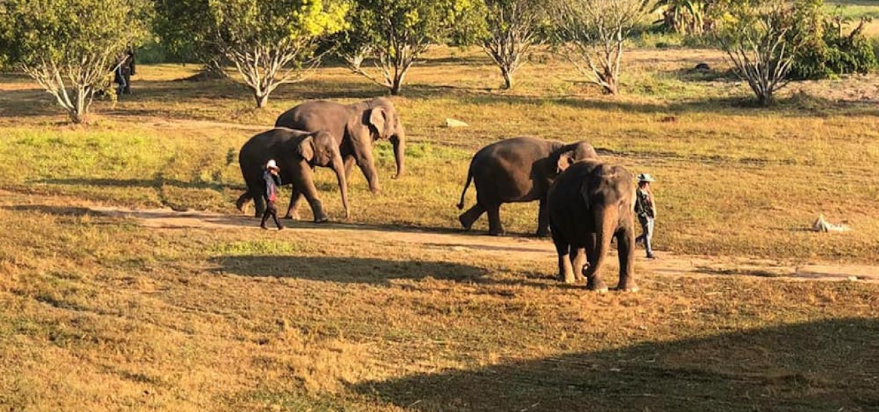 BELLEZA DE VIETNAM Y TAILANDIA EN 16 DÍAS Y 15 NOCHES