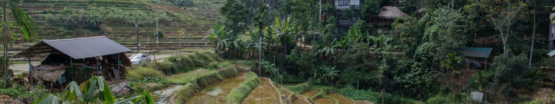 Descubre la Belleza Salvaje de Pù Luông Nature Reserve – Un Paraíso Natural entre Montañas