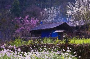 ¿Cuál es la mejor época para viajar a Sapa? El momento dorado para tus viajes