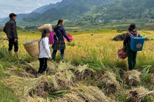  VIETNAM Y CAMBOYA AUTÉNTICOS EN 12 DÍAS Y 11 NOCHES