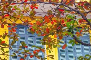 VIETNAM Y CAMBOYA CON PLAYA AL FINAL DEL VIAJE EN 17 DÍAS Y 16 NOCHES