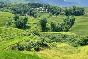 ENCANTO DE NORTE SOLO EN 11 DÍAS Y 10 NOCHES