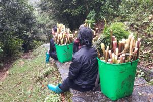 ENCANTO DE VIETNAM DEL NORTE AL SUR CON LA PLAYA EN 14 DÍAS Y 13 NOCHES