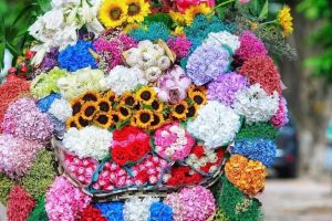 ENCANTO DE CHINA, VIETNAM Y TAILANDIA EN 12 DÍAS Y 11 NOCHES