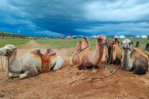 VIAJE A MONGOLIA Y CHINA EN 15 DÍAS Y 14 NOCHES