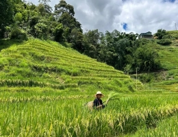 No hay más palabras que agradecer