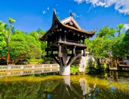 Agencia en la que puedes confiar 100%