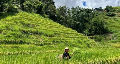 No hay más palabras que agradecer