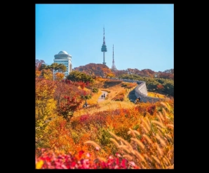 Cómo Corea del Sur y Japón “empaquetan” el otoño y lo convierten en una marca turística multimillonaria