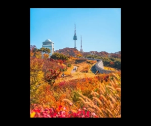 Come Corea del Sud e Giappone “confezionano” l’autunno trasformandolo in un brand turistico da miliardi di dollari