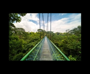 Tre percorsi escursionistici nella foresta di Singapore
