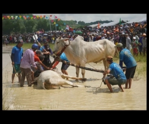 An Giang impulsa el desarrollo del turismo comunitario