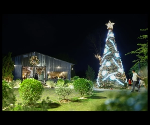 Il caffè progettato con centinaia di alberi di Natale come un “Parco di Natale” a Ho Chi Minh City