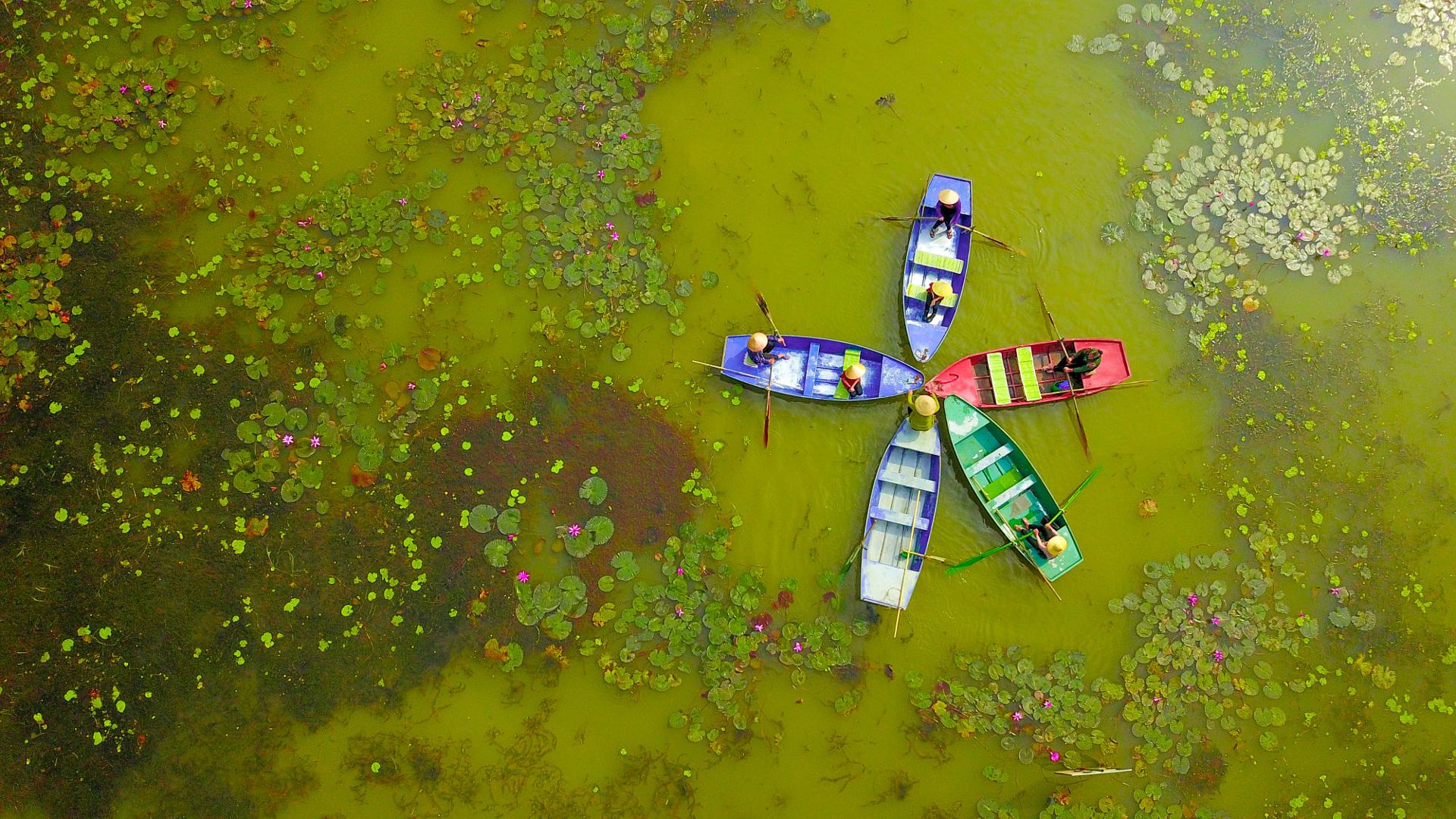 Encanto de Vietnam en 13 días y 12 noches